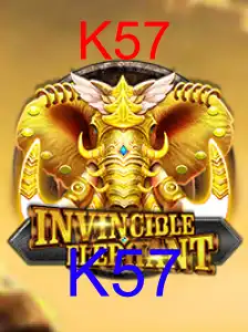 InvincibleElephant